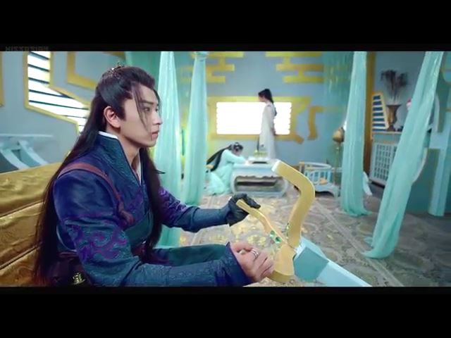 novoland 21.mp4_001465544.jpg